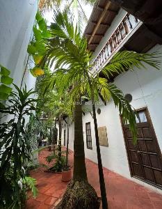 Casa de 5 alcobas en venta en El Centro, Cartagena, 447 m² · foto 7 de 18