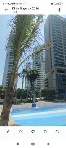 Apartamento en venta en Castillo, Cartagena · foto 6 de 11