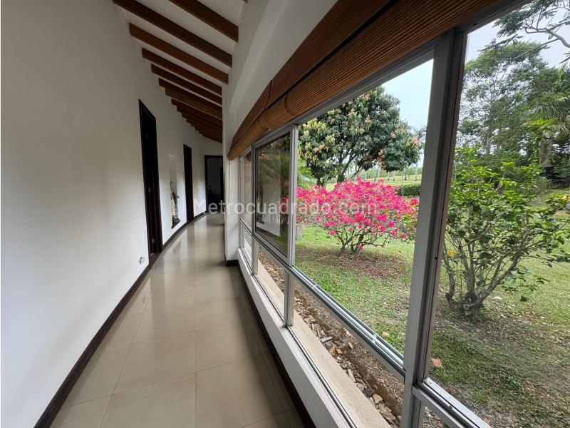 Casa – Pereira - Vista 4