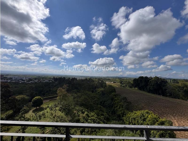 Piso – Pereira - Más