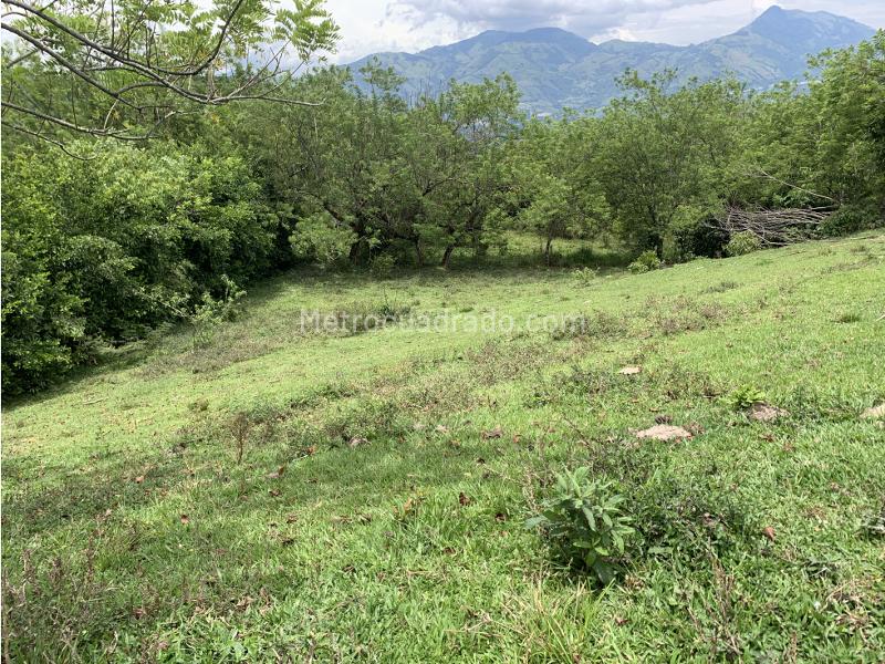 Lote en Venta, Cerca Al Pueblo, Venecia - Vista 2