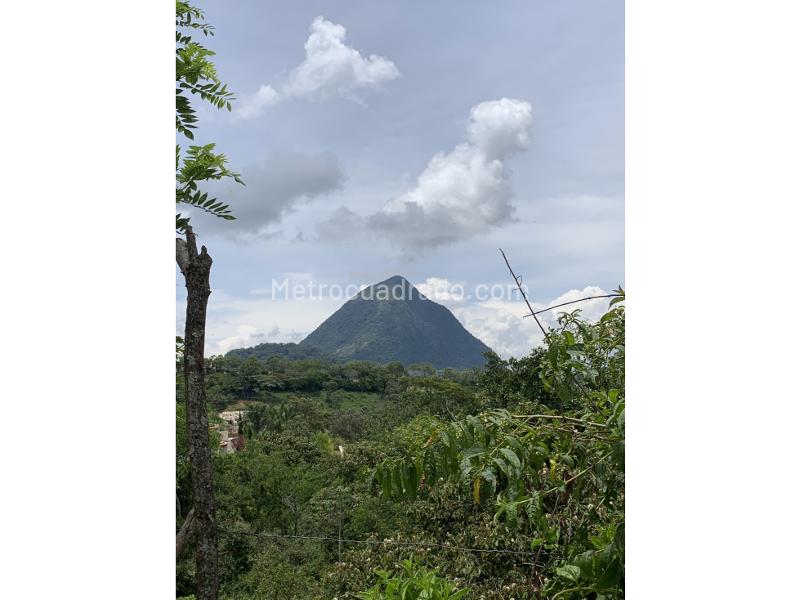 Lote en Venta, Cerca Al Pueblo, Venecia - Vista 4