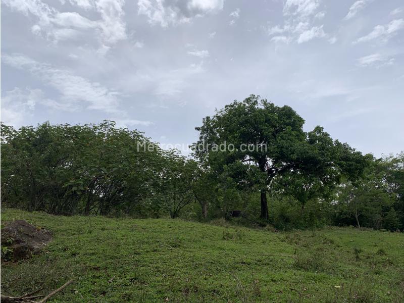 Lote en Venta, Cerca Al Pueblo, Venecia - Vista 5