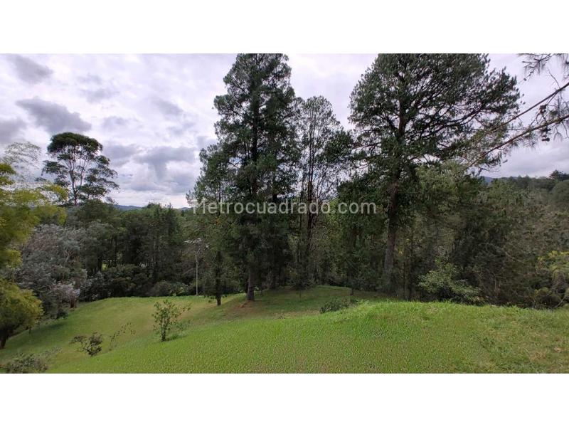 Lote en Venta, Variante Aeropuerto, Rionegro - Vista 4
