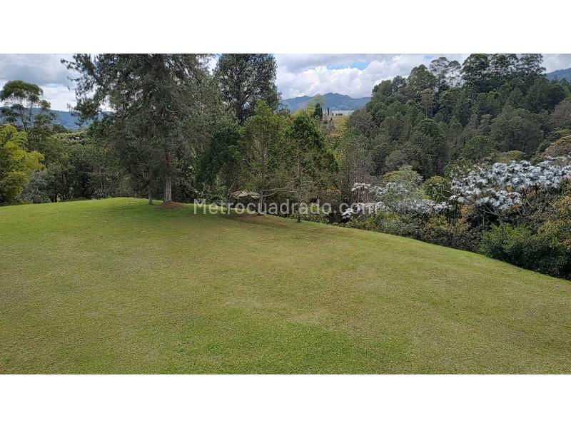 Lote en Venta, Variante Aeropuerto, Rionegro - Vista 5