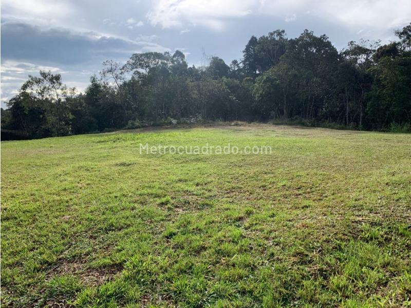 Lote en Venta, Alto De Palmas, Envigado - Vista 3