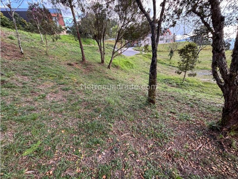 Lote en Venta, Alto De Palmas, Envigado - Vista 4