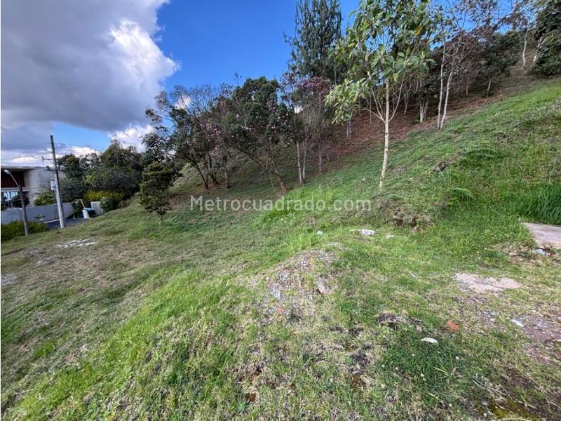 Lote en Venta, Alto De Palmas, Envigado - Vista 5