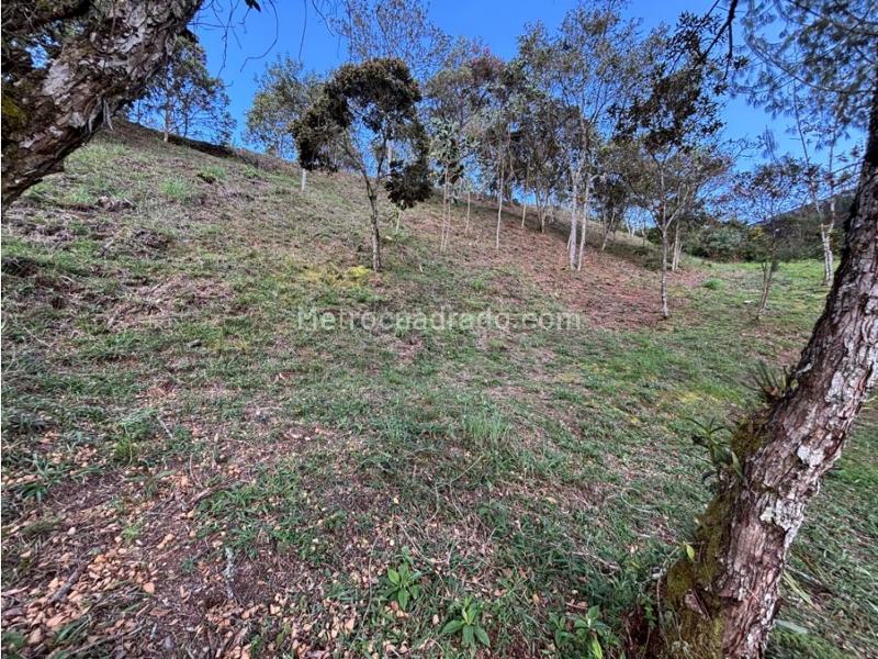 Lote en Venta, Alto De Palmas, Envigado - Más