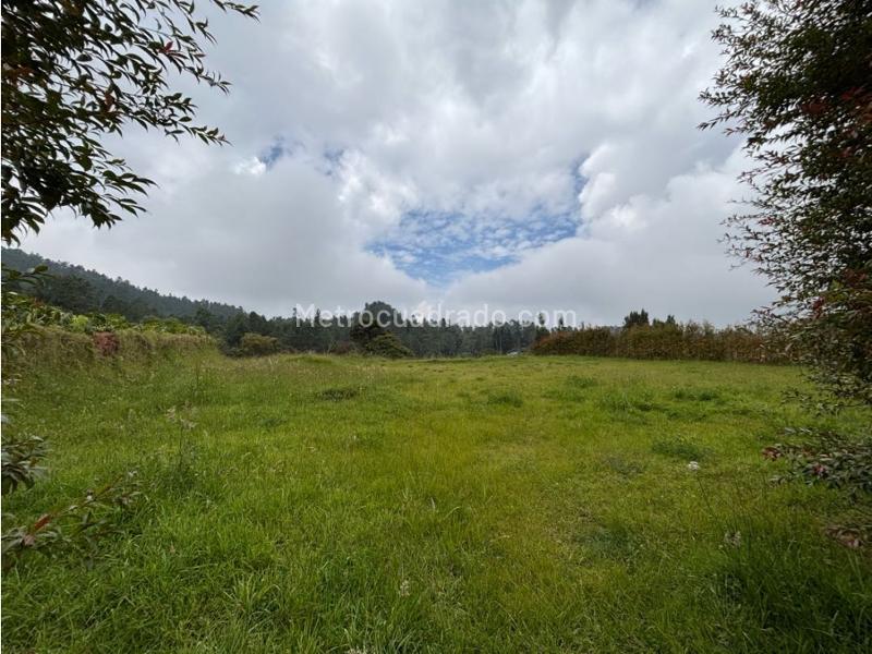 Lote en Venta, Alto De Palmas, Envigado - Vista 4