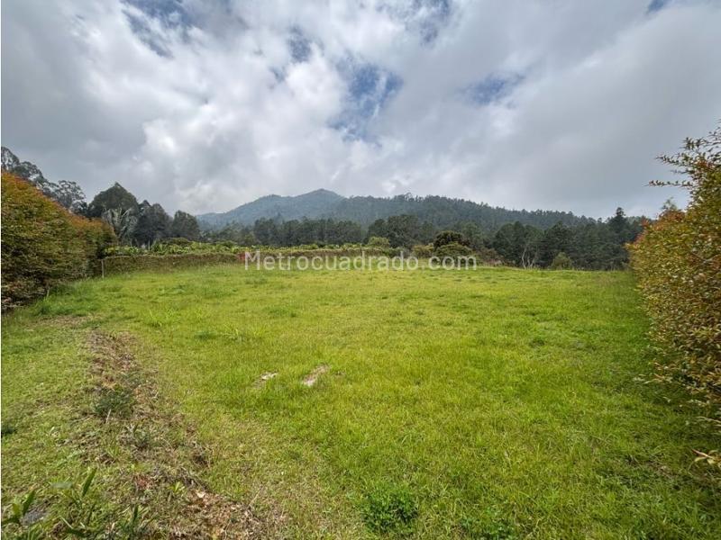 Lote en Venta, Alto De Palmas, Envigado - Vista 5
