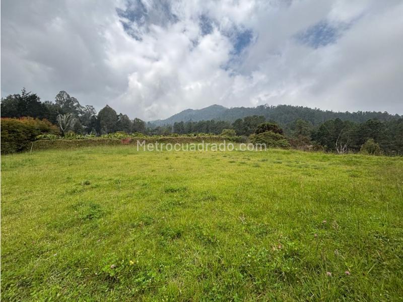 Lote en Venta, Alto De Palmas, Envigado - Más