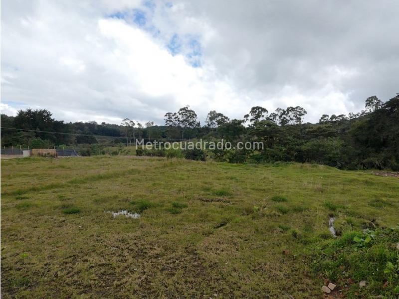 Lote en Venta, Alto De Palmas, Envigado - Vista 3