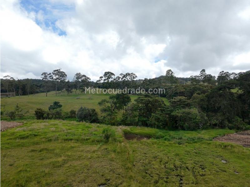 Lote en Venta, Alto De Palmas, Envigado - Vista 4