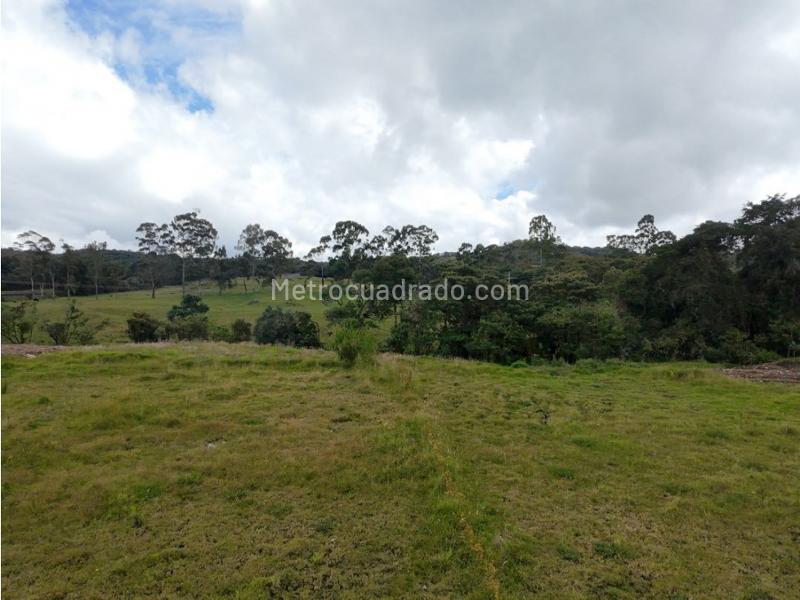Lote en Venta, Alto De Palmas, Envigado - Vista 5