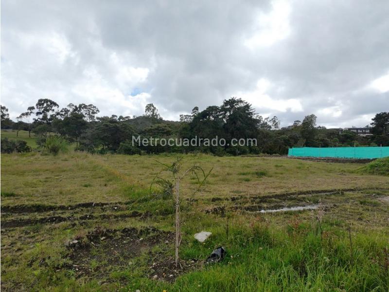 Lote en Venta, Alto De Palmas, Envigado - Más