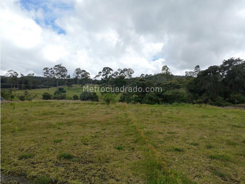 Lote en Venta, Alto De Palmas, Envigado - Vista 2