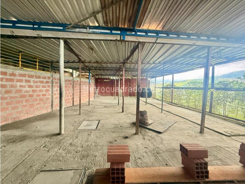 Bodega en Arriendo, Bajo Tablazo, Manizales - Vista 2