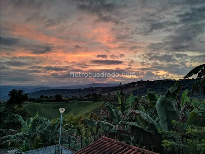 Finca en Venta, Santagueda, Palestina - Widok 3