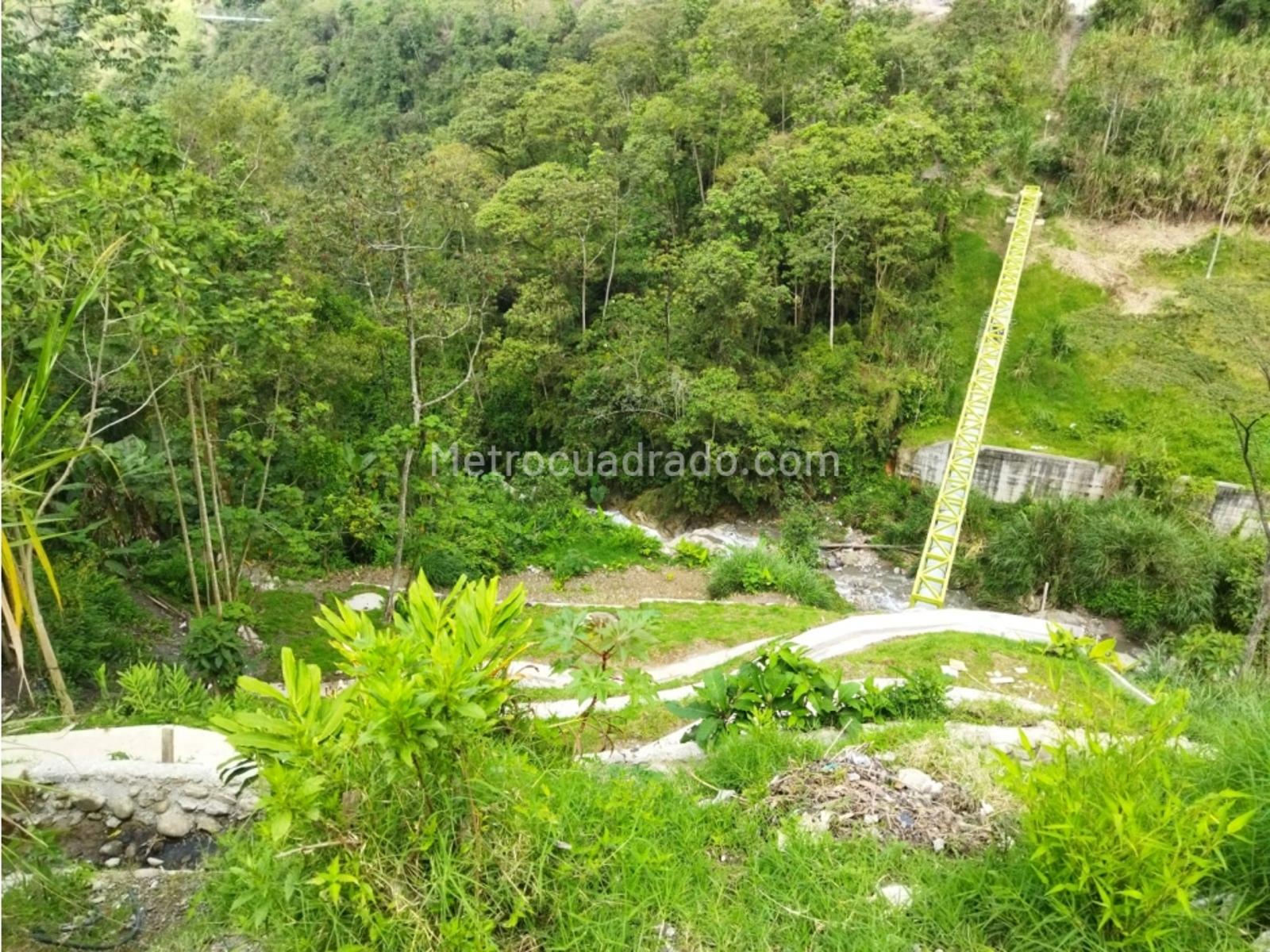 Lote en Venta, Avenida Panamericana, Manizales - Vista 5