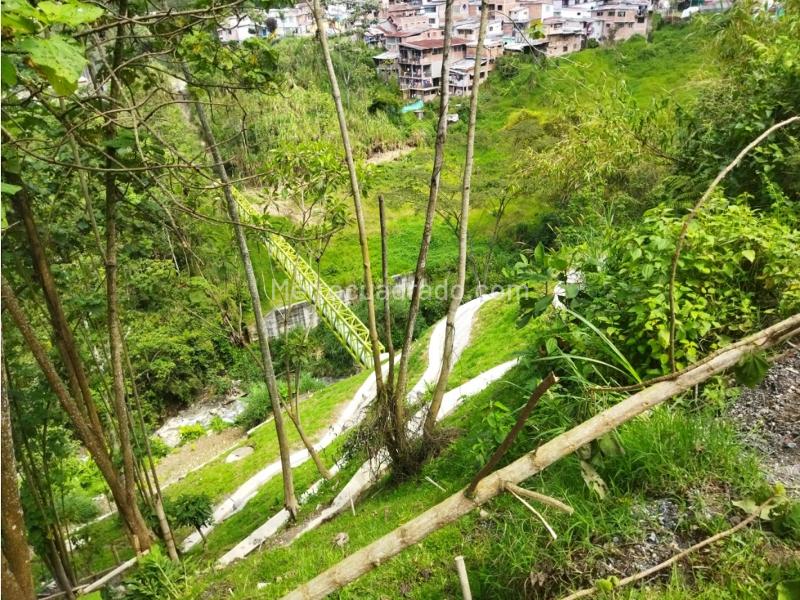 Lote en Venta, Avenida Panamericana, Manizales - Vista 3
