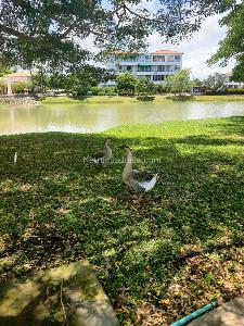 Apartamento en venta en Manzanillo, Cartagena · foto 14 de 20