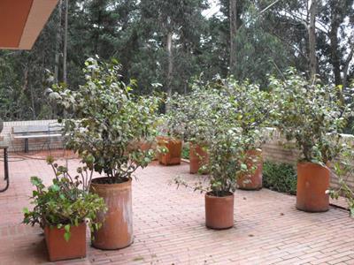 Casa en arriendo en Bosque Medina Usaquen, Bogotá · foto 3 de 14