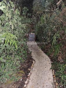 Casa en venta en Altos De Yerbabuena, Chía · foto 6 de 13