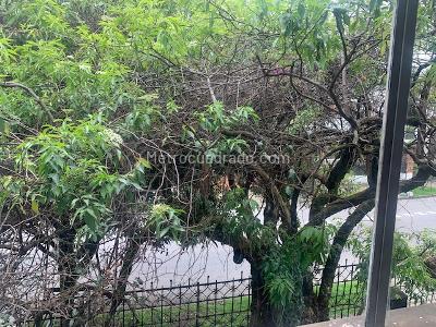 Casa de 5 alcobas en venta en San Luis, Bogotá, 300 m² · foto 3 de 20