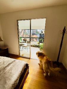 Apartamento de 3 alcobas en venta en Santa Rosa Del Oeste, Cali, 147 m² · foto 10 de 13