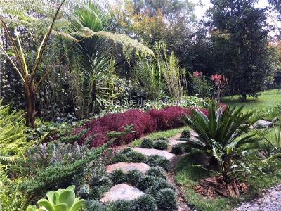 Casa de 5 alcobas en venta en Llanogrande, Rionegro, 704 m² · foto 11 de 20