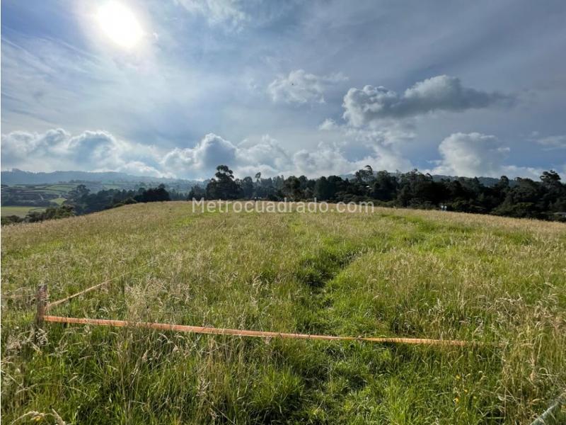 Lote en Venta, Alto De Las Palmas, Medellín - Vista 3