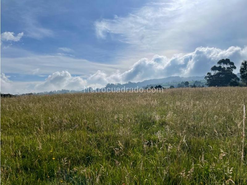 Lote en Venta, Alto De Las Palmas, Medellín - Vista 4