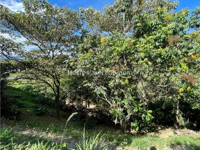 Casa de 3 alcobas en venta en Llanogrande, Rionegro · foto 9 de 13