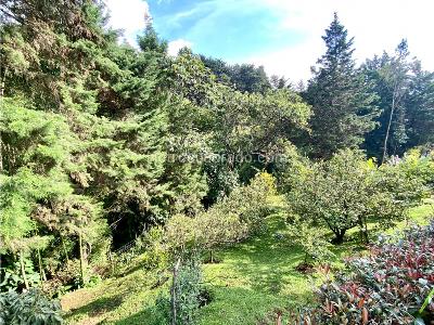 Casa de 3 alcobas en venta en El Poblado, Medellín · foto 20 de 20