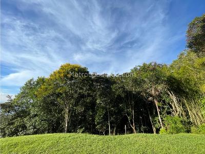 Casa de 3 alcobas en venta en El Poblado, Medellín · foto 11 de 13