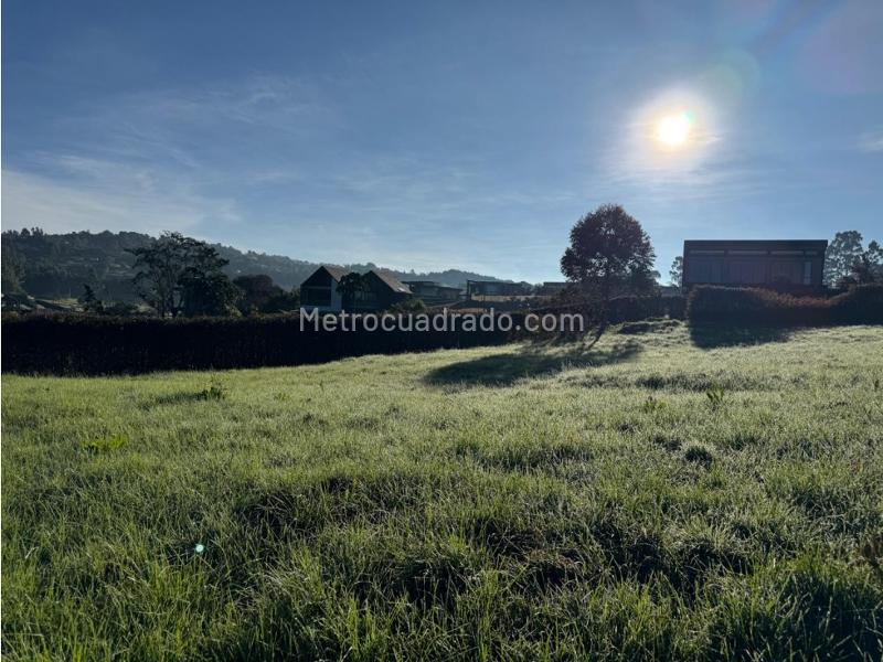 Lote en Venta, Alto De Las Palmas, Envigado - Vista 3