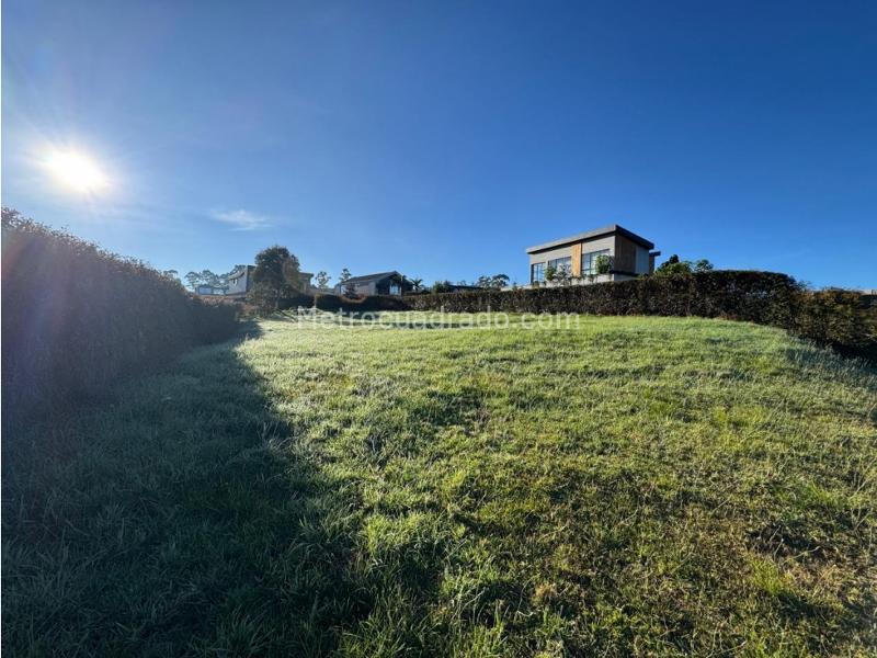 Lote en Venta, Alto De Las Palmas, Envigado - Vista 4