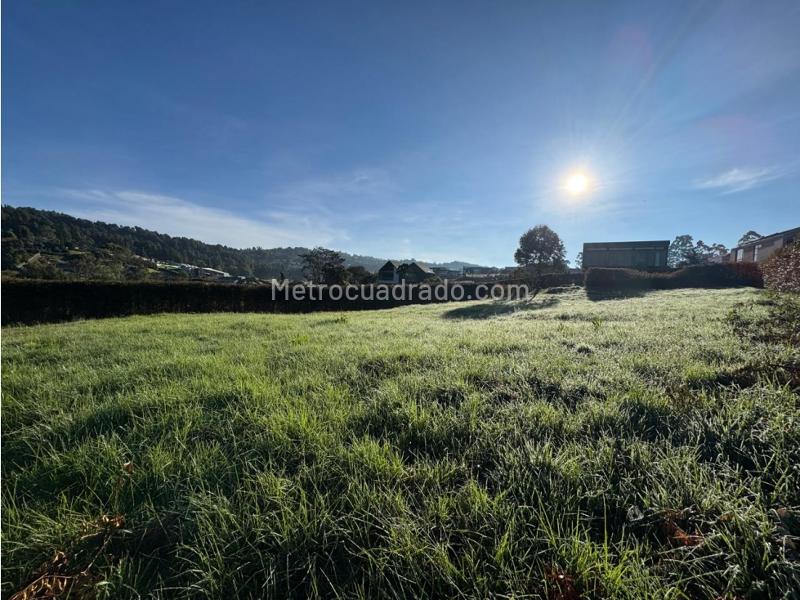 Lote en Venta, Alto De Las Palmas, Envigado - Vista 5