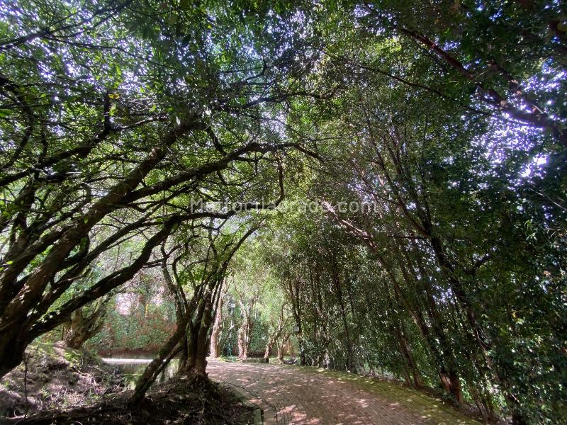 Casa – Cajicá - Vista 5
