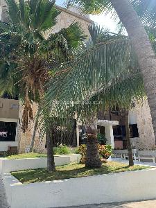 Apartamento de 3 alcobas en venta en Villa Santos, Barranquilla, 186 m² · foto 20 de 20