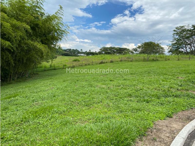 Lote en Venta, Cerritos, Pereira - Vista 3
