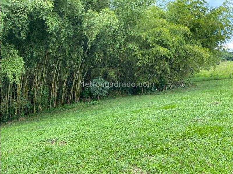 Lote en Venta, Cerritos, Pereira - Vista 5