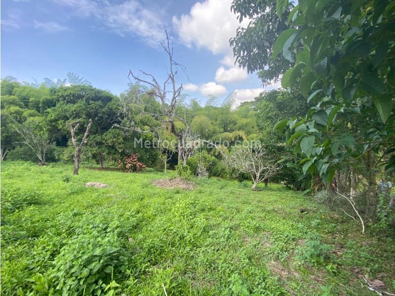 Lote en Venta, Cerritos, Pereira - Vista 2
