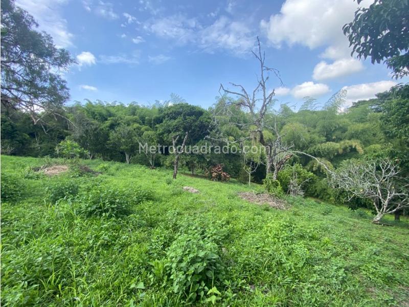 Lote en Venta, Cerritos, Pereira - Vista 3