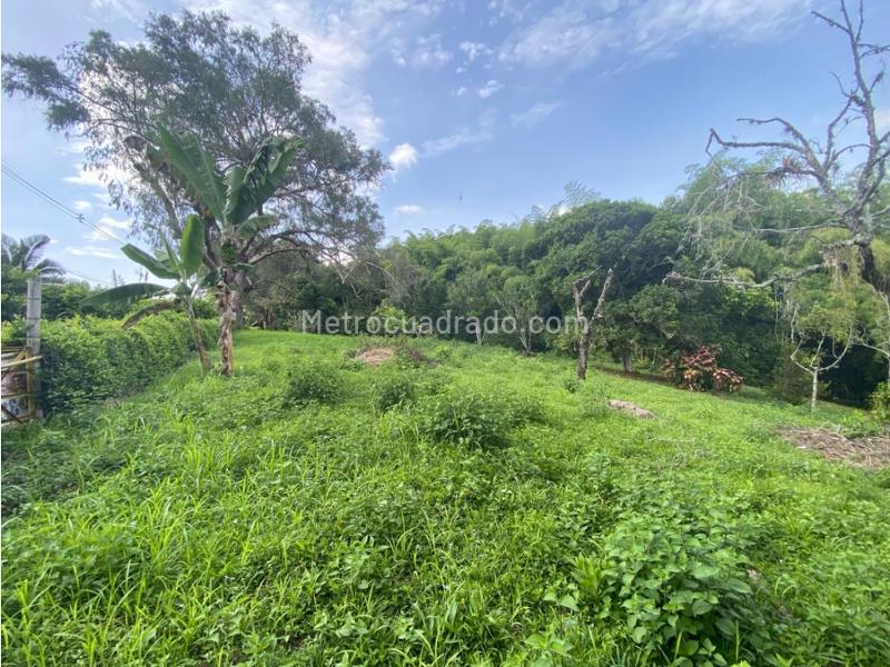 Lote en Venta, Cerritos, Pereira - Vista 4