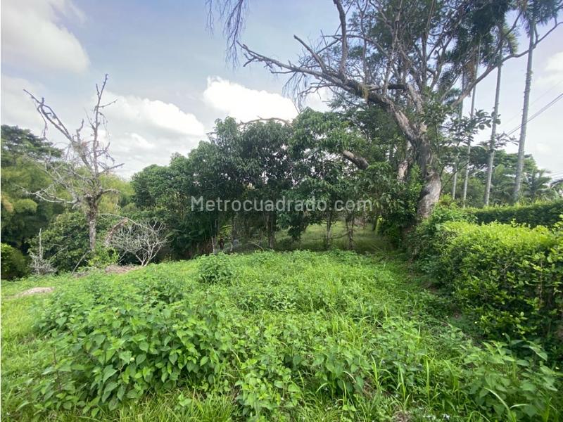 Lote en Venta, Cerritos, Pereira - Más