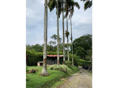 Casa de 4 alcobas en venta en Via Armenia, Pereira, 280 m² · foto 20 de 20