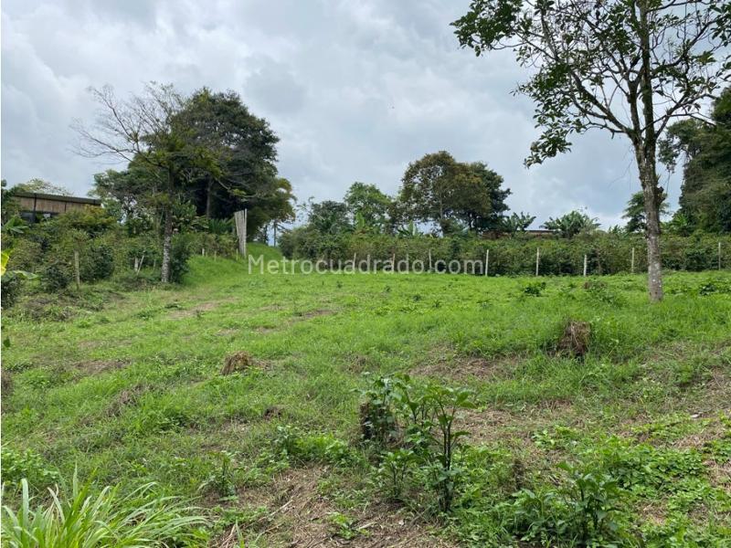 Lote en Venta, Mundo Nuevo, Pereira - Vista 2
