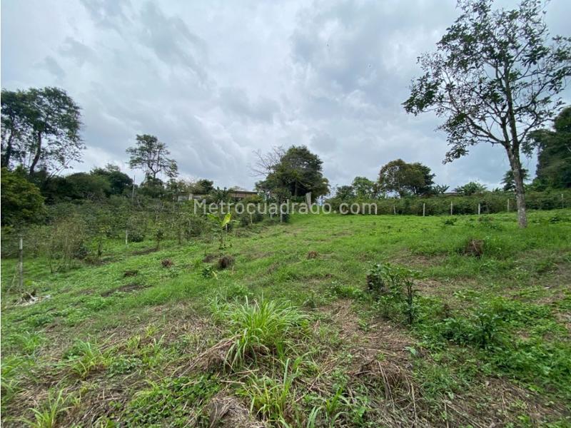 Lote en Venta, Mundo Nuevo, Pereira - Vista 3